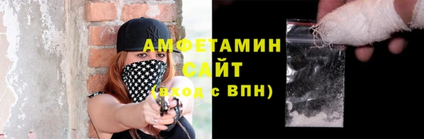 прущие грибы Ельня