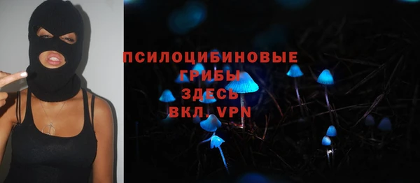 молекула духа Заволжск