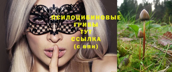 молекула духа Заволжск